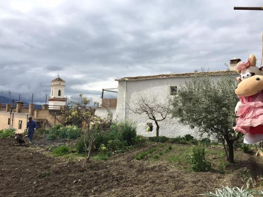 La Casa Rural De Paco Y Ana Pitres Exterior foto